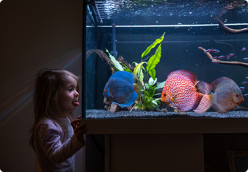 Your Reef, In Your Hands